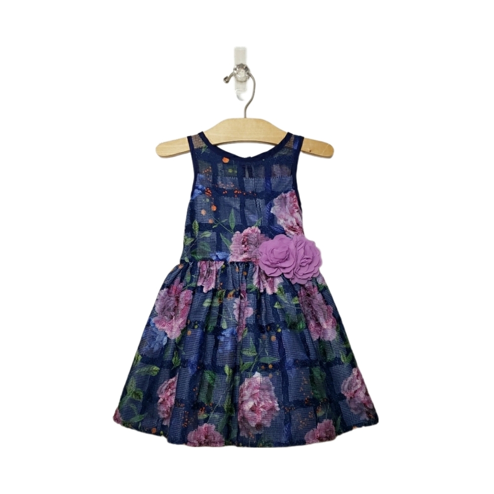 Pippa & Julie 3T Toddler Girl Floral Windowpane Party Dress